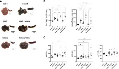 Unisexual infection with Schistosoma mansoni  in mice has the potential to boost the immune response against eggs after challenge infection